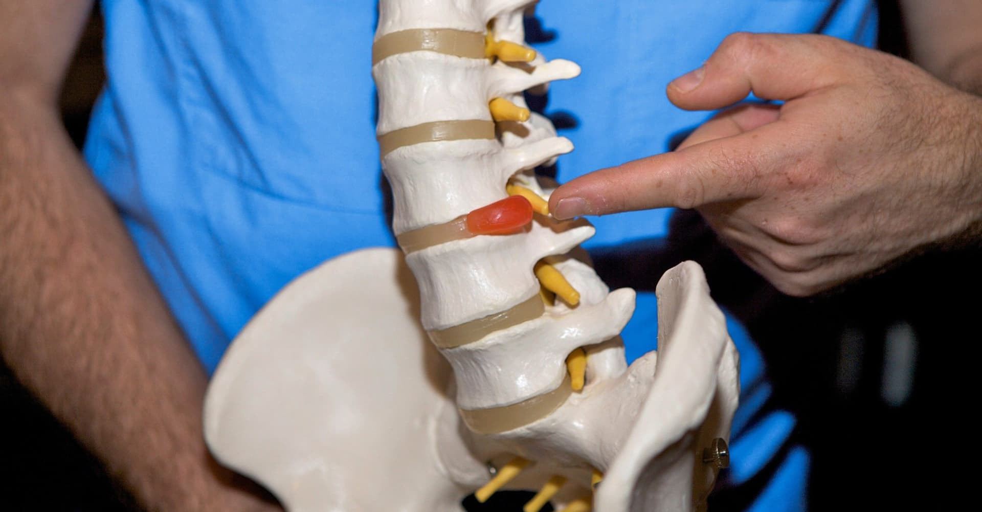 Позвоночник